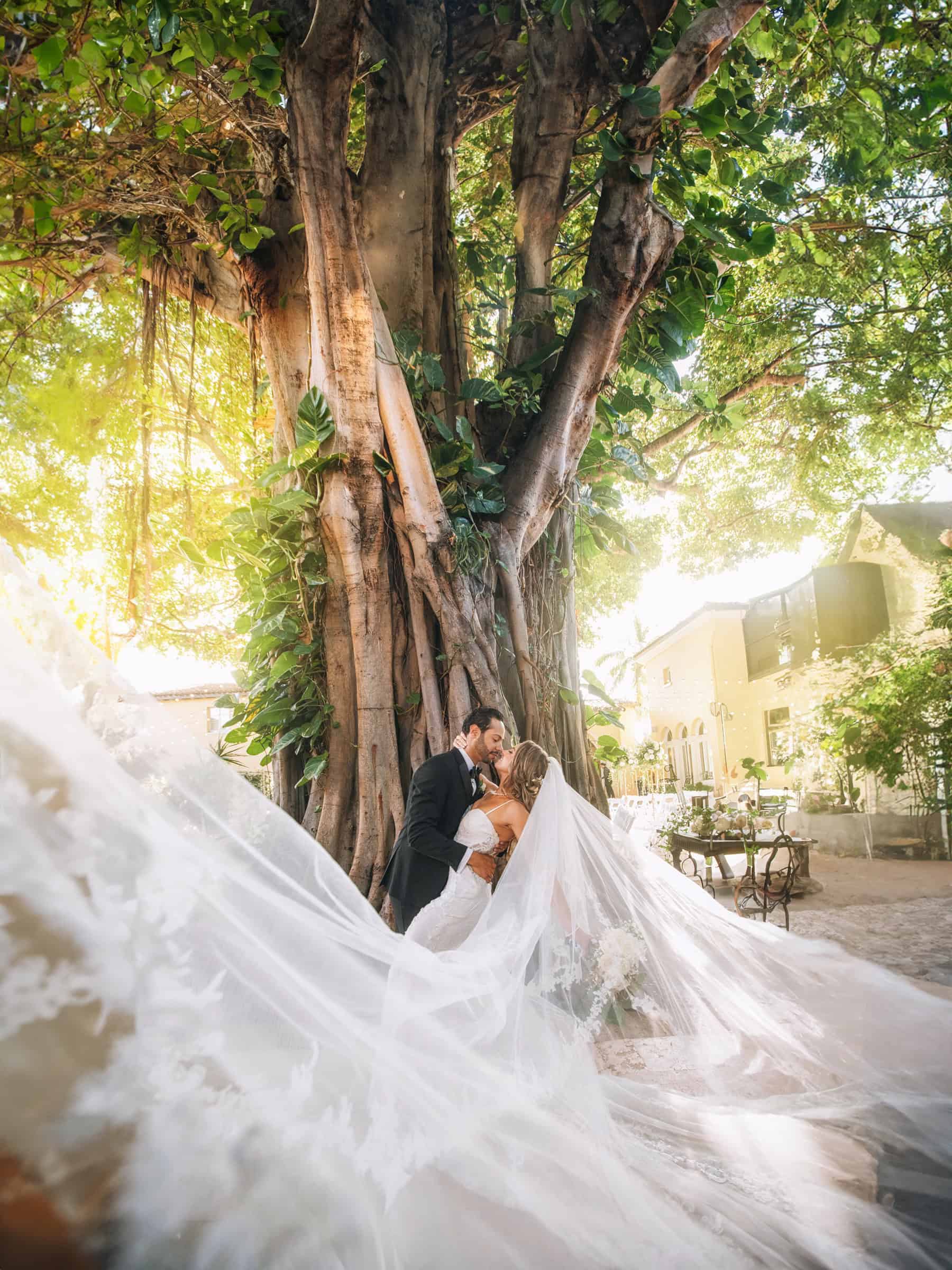 Groom kissing the bride beneath a towering banyan tree, her veil sweeping across the courtyard