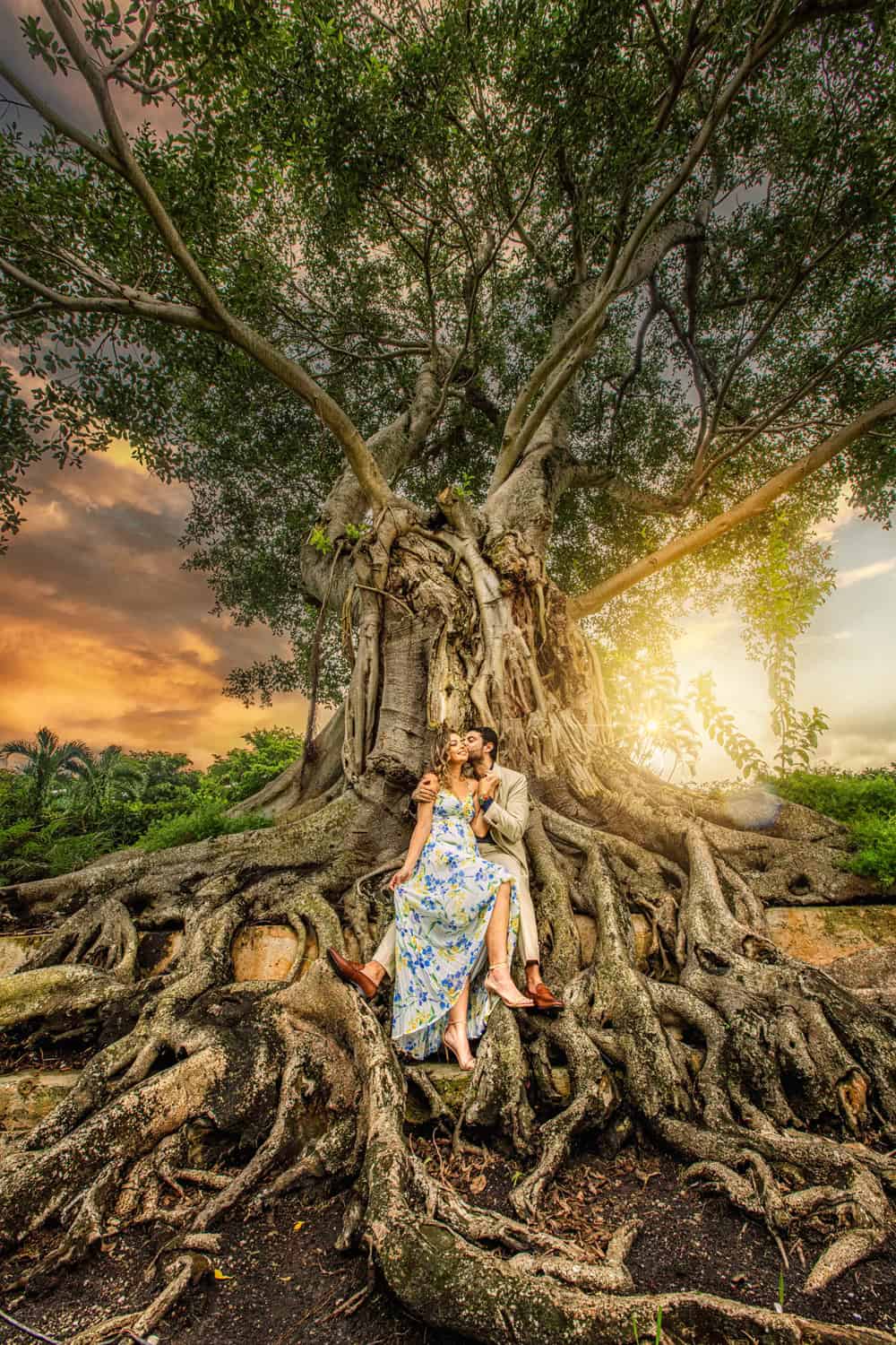 Couple seated among the roots of a giant banyan tree at sunset, he kisses her cheek